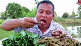 黑哥吃瓜,揭秘娱乐圈幕后真相