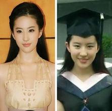 明星网红上什么学校,揭秘他们就读的顶尖学府