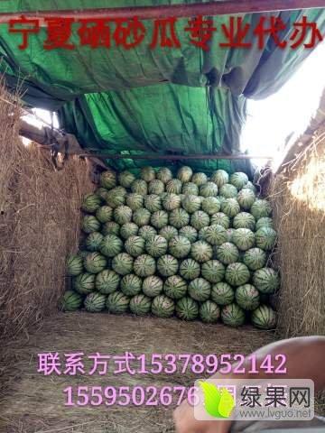宁夏石头瓜今日行情如何,今日价格走势分析”