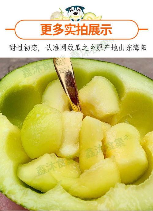 海阳网纹蜜瓜今日价格,价格行情一览