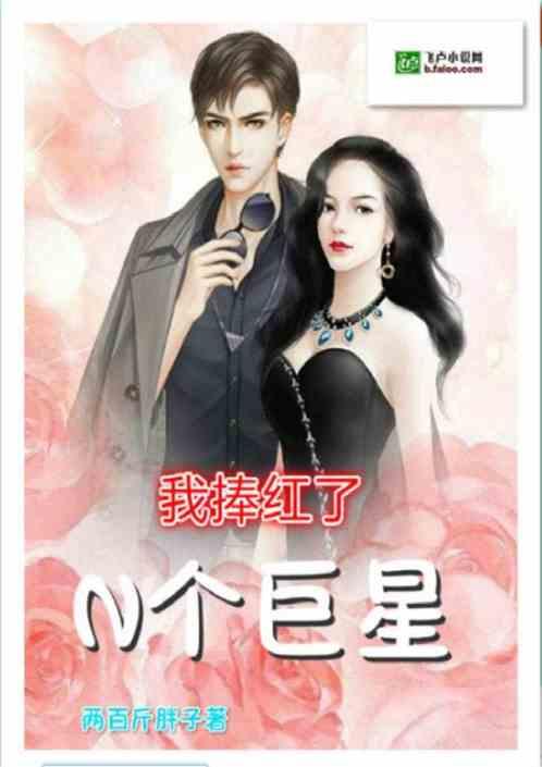 娱乐推荐明星网红小说,明星网红小说推荐之旅