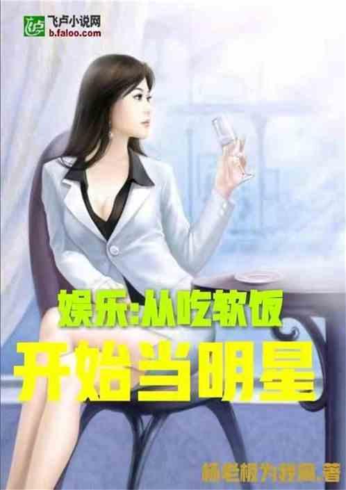 娱乐推荐明星网红小说,明星网红小说推荐之旅