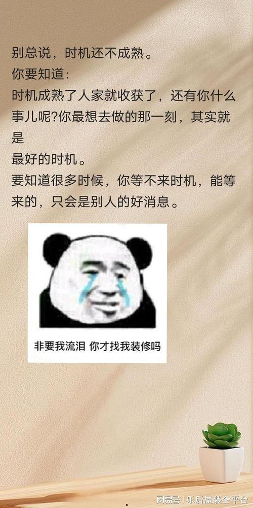 偷瓜的热门文案搞笑版,笑料百出，瓜田里的欢乐喜剧