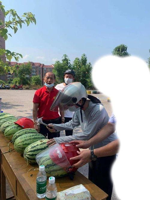 乐亭吃瓜最新事件爆料新闻,最新爆料揭示惊人内幕