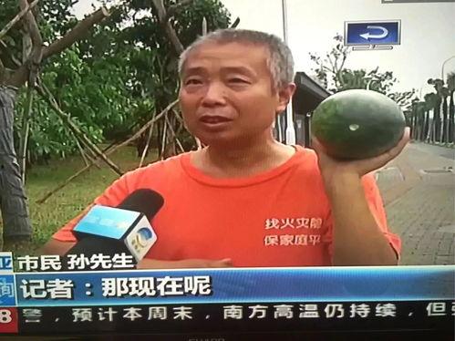近期热门吃瓜事件怎么看,真相与舆论的碰撞