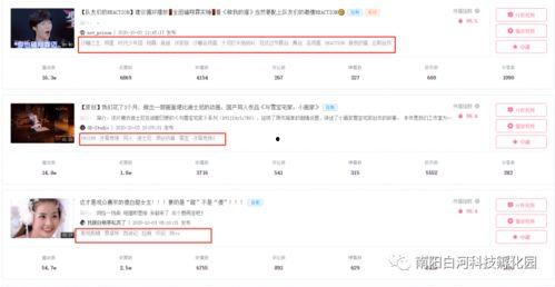 飞瓜热门视频素材网页版,揭秘短视频创作灵感源泉
