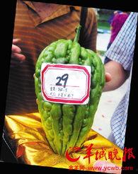 江门凉瓜今日头条,探寻江门特色凉瓜的独特魅力