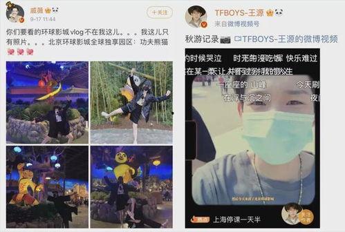 明星网红卡点视频,明星同款潮流生活