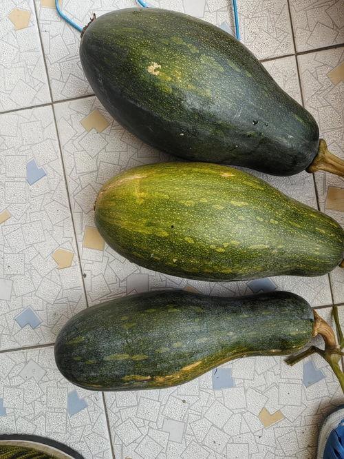今日看料每日一瓜,今日一瓜，带你领略明星幕后故事