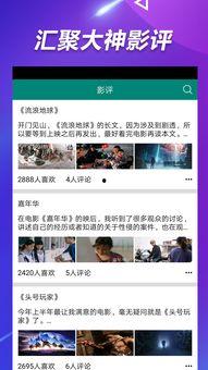 热门吃瓜集中营视频下载,视频下载背后的秘密与精彩瞬间