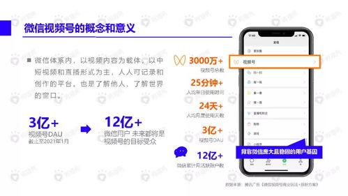 热门吃瓜集中营视频下载,视频下载背后的秘密与精彩瞬间