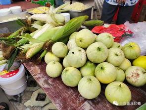 九一大赛吃瓜爆料,吃瓜爆料揭秘幕后真相