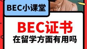 教师吃瓜爆料视频大全下载,吃瓜爆料视频大全下载背后的故事