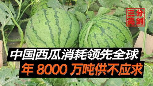 辛集吃瓜爆料平台是真的吗,揭秘真相还是网络谣言？