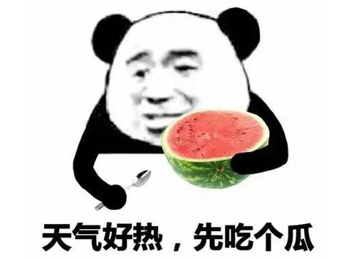吃瓜热门口号怎么写的,揭秘吃瓜热门口号背后的趣味与智慧