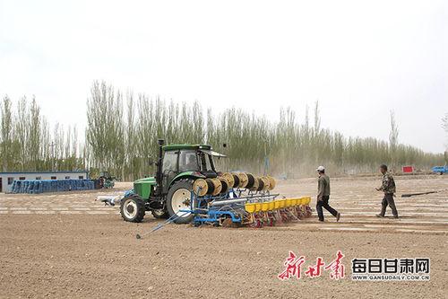 甘肃瓜州今日棉花价,行情走势解析