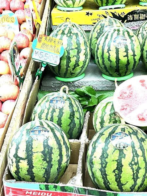 石家庄麒麟瓜今日价格,价格行情一览”