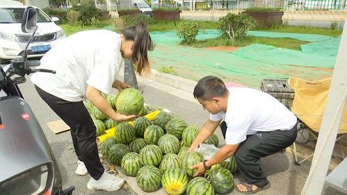 黑迷吃瓜网,黑迷吃瓜网带你领略幕后风云