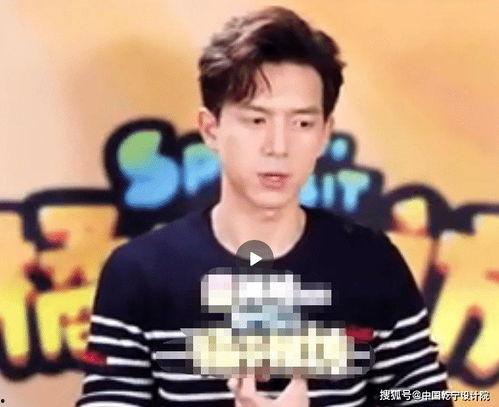 娱乐圈吃瓜杨紫李现,娱乐圈瓜田里的甜蜜果实