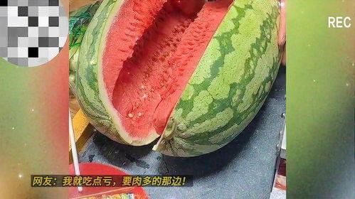 人人吃瓜朝阳黑料,人人吃瓜，朝阳黑料背后的真相