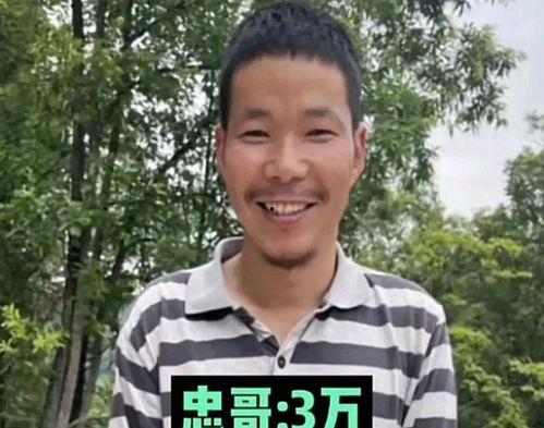 明星网红捐款河北洪灾,明星网红助力河北抗洪救灾