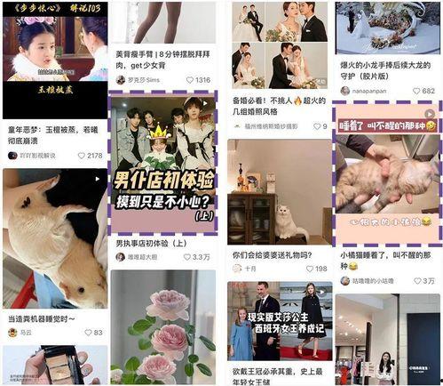 千瓜怎么看热门笔记视频,掌握热门趋势，轻松打造爆款内容