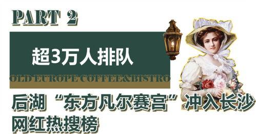 明星网红打卡景点推荐,明星同款景点推荐之旅