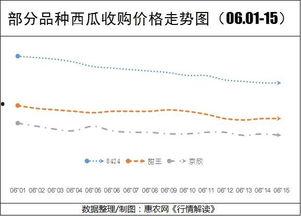 新疆今日瓜价行情走势,今日瓜价行情稳中向好