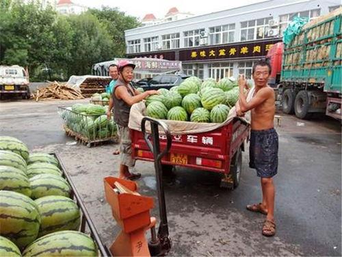 政府部门近期热门吃瓜事件,真相与争议并存