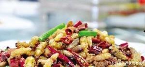 瓜黑蝽咋吃,探索独特昆虫风味