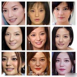 明星网红种子图片大全,种子图片大全精选集锦
