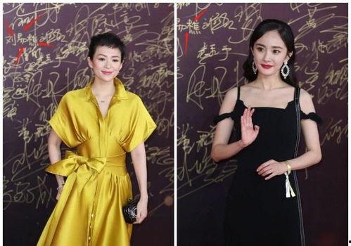 明星网红身高对比图,身高对比图解读