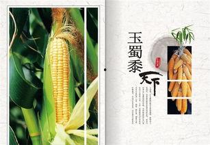 三农蜜玉瓜热门素材文案,三农热销新宠，甜蜜滋味引领田园风尚