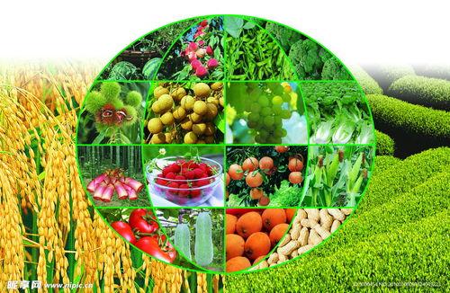 三农蜜玉瓜热门素材文案,三农热销新宠，甜蜜滋味引领田园风尚