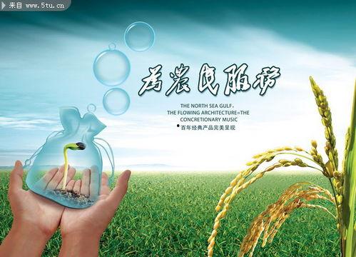 三农蜜玉瓜热门素材文案,三农热销新宠，甜蜜滋味引领田园风尚