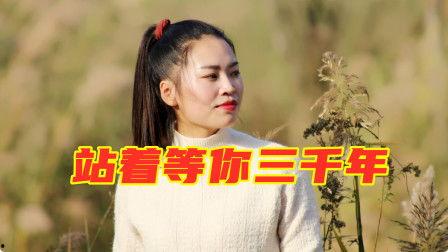 热门摘瓜音乐叫什么歌好听,盘点那些让人陶醉的好听歌曲
