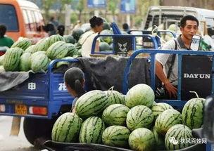 黑交院事件吃瓜,揭秘校园风波背后的真相与反思