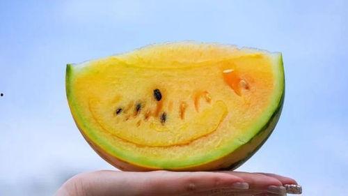 云南黑瓜可以吃吗有点苦,苦中带甘，探寻地方特色美食之谜