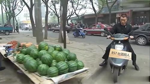 华强买今日说法瓜,今日说法瓜背后的真相与启示