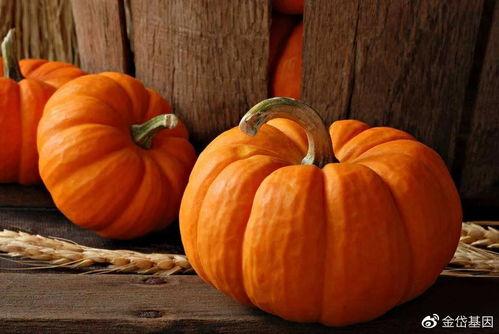 今日立秋适宜吃瓜,瓜果飘香，尽享清凉美味