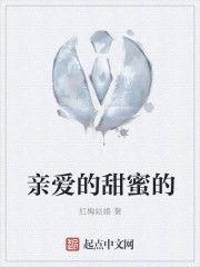 亲爱明星网红小说阅读,揭秘网红明星背后的故事