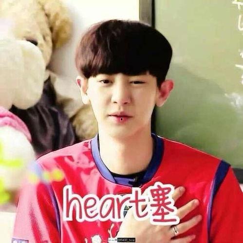 明星网红应援头像男士,揭秘明星网红应援头像中的男士魅力