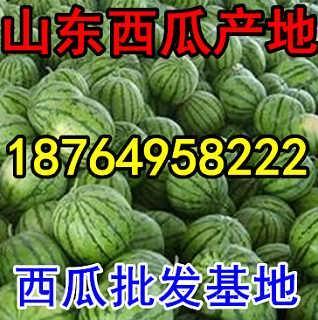 连云港今日瓜价,今日瓜价行情一览”