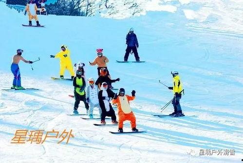 各路明星网红滑雪图片,明星网红滑雪瞬间，尽展运动魅力与时尚风采”