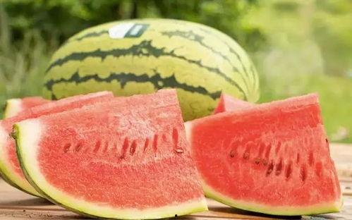 今日红星沙漠瓜什么价,价格行情一览