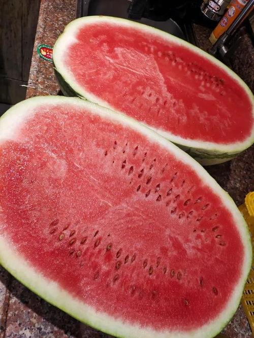 今日红星沙漠瓜什么价,价格行情一览