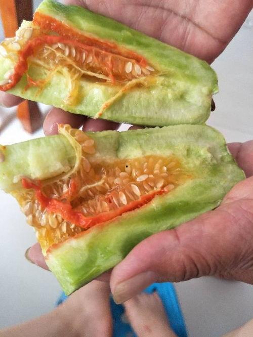 吃黑酥瓜有什么好处,营养丰富的夏日消暑佳品