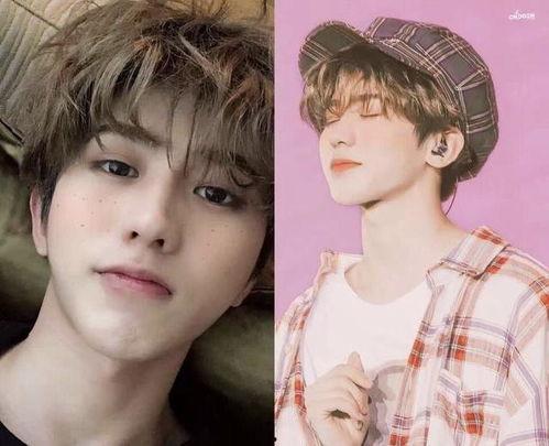 流量明星网红直播号,揭秘网络红人的直播魅力与影响力