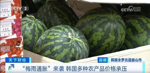 旱瓜今日价格最新行情,最新行情一览