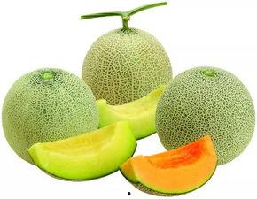 日本北海蜜瓜今日价,品味夏日甘甜，尽享日本顶级水果魅力”